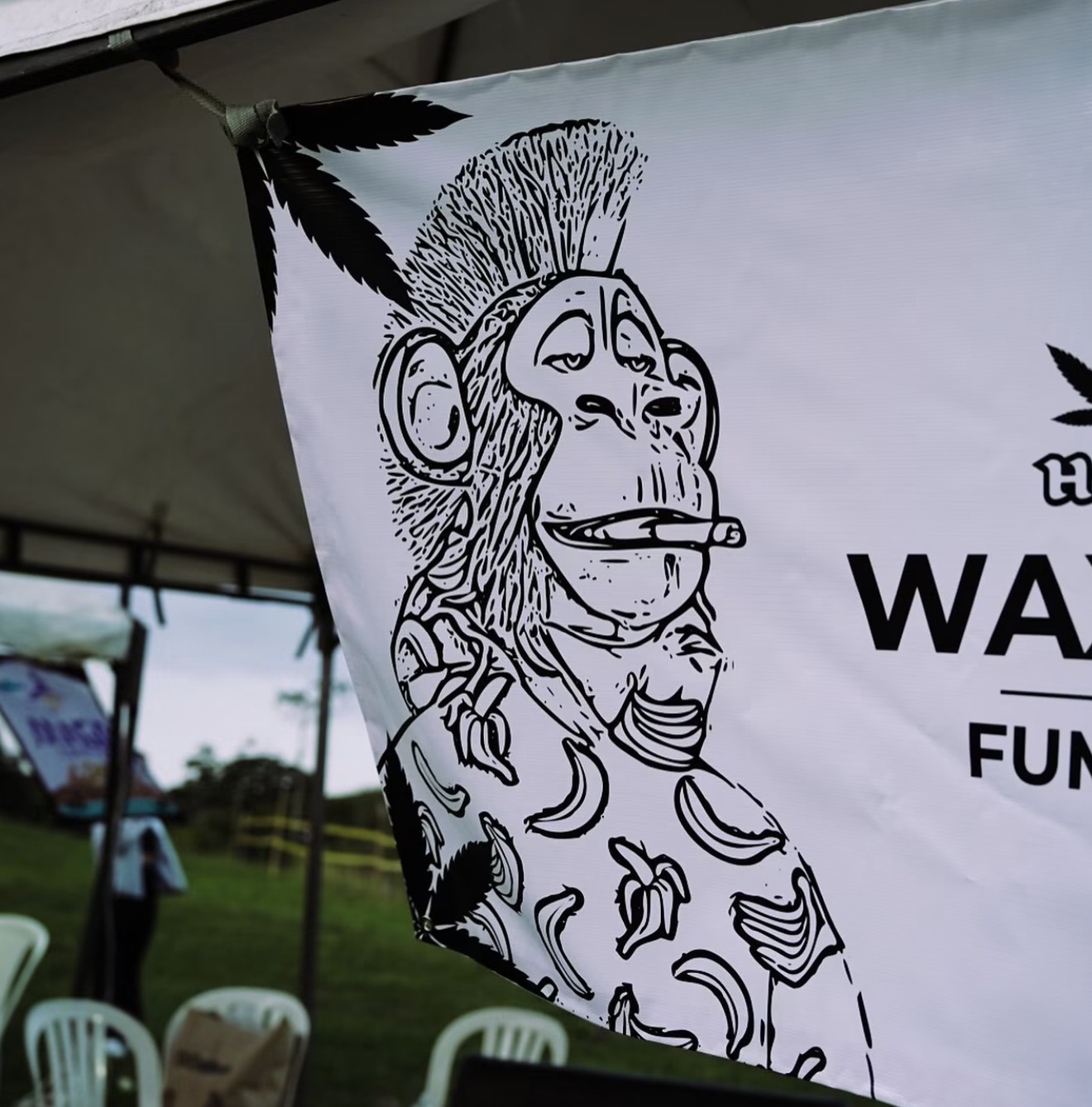 420 VIP FEST — 11