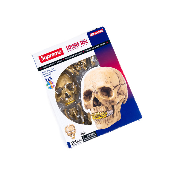 Supreme 4D Model Human Skull Gold